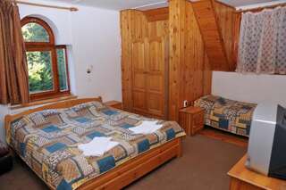 Отель Villa Ibar Боровец Двухместный номер с 1 кроватью или 2 отдельными кроватями-4