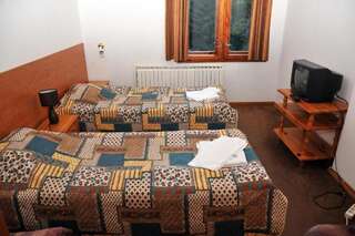 Отель Villa Ibar Боровец Двухместный номер с 1 кроватью или 2 отдельными кроватями-10